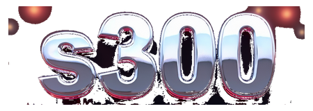 s300 logo